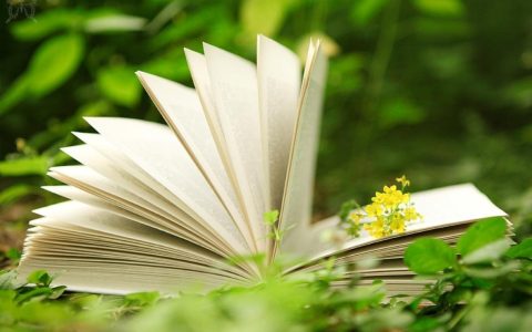 «КНИГА НЕДЕЛИ»