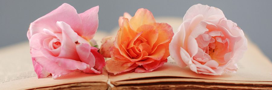 КНИГА ОЖИВАЕТ В КИНО