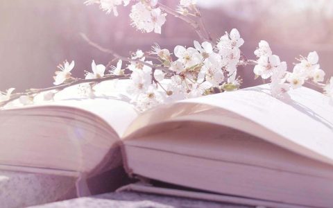 Сімвал і гонар нацыі