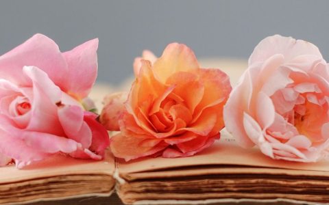 Полезные каникулы