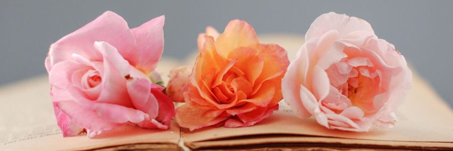 Полезные каникулы