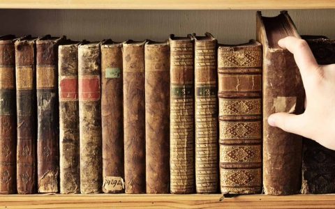 Приключения в мире книг