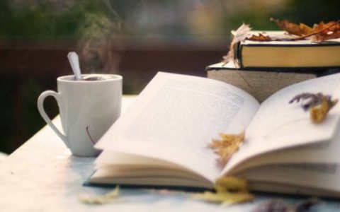 Болотные экосистемы: невидимая жизнь