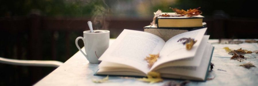 Болотные экосистемы: невидимая жизнь