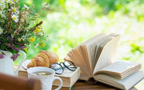 Единый День Информирования