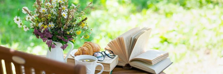 ️Знаешь ли ты своих пернатых друзей?