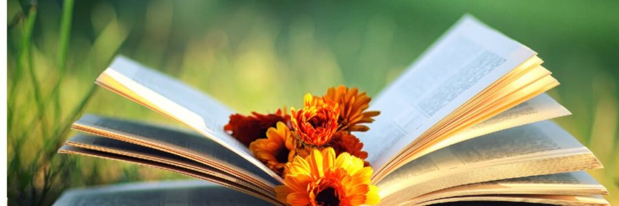 Верба ў дзіцячых далонях