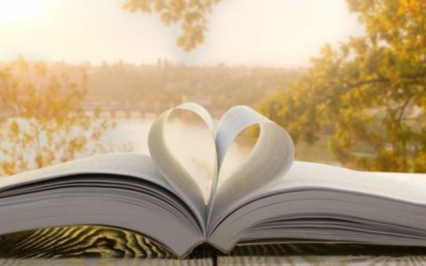 Книга, творчество, общение: День библиотек на Пинщине!